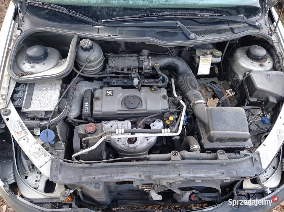 Peugeot 206 SW 11 44 kW 2003 r dawca części Szklarka Myślniewska