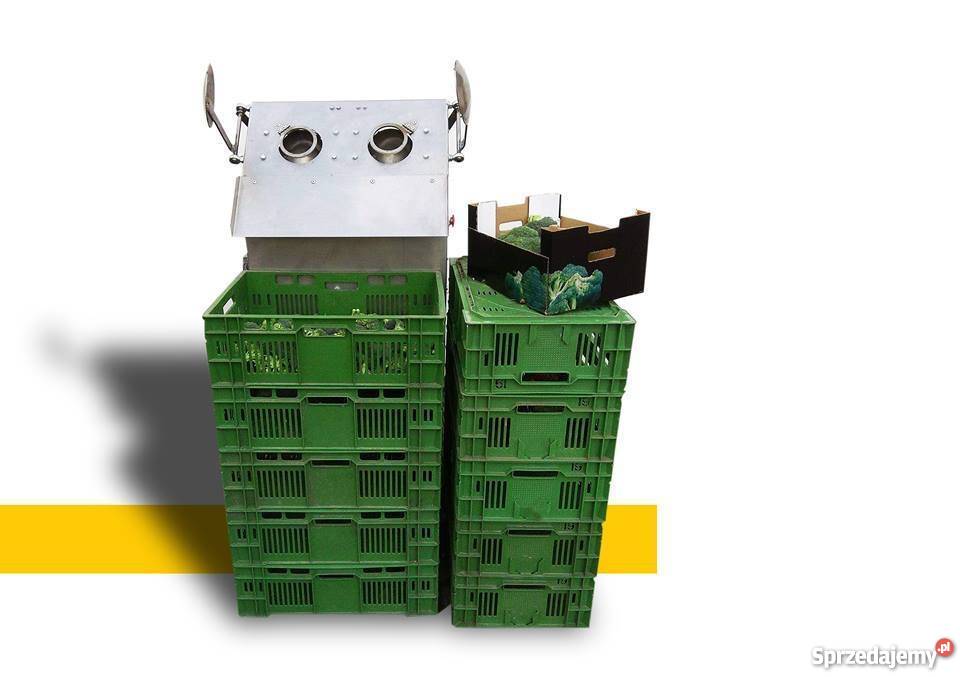 AMT Maszyna do różyczkowania brokuła gilotyna nieuszkodzony wielkopolskie Kalisz