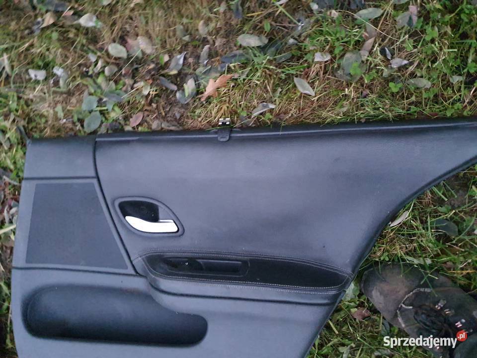 Boczki drzwi skórzane roletki Renault Laguna II Kraków sprzedam