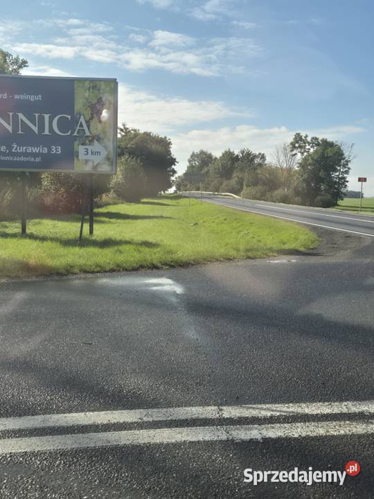 Do wynajęcia działka pod baner Bilbord reklama Gniechowice