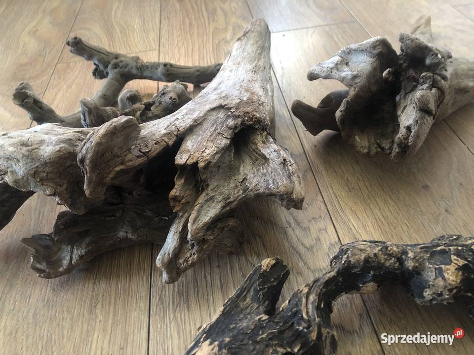 Driftwood drewno akwarystyczne mazowieckie Ciepielów