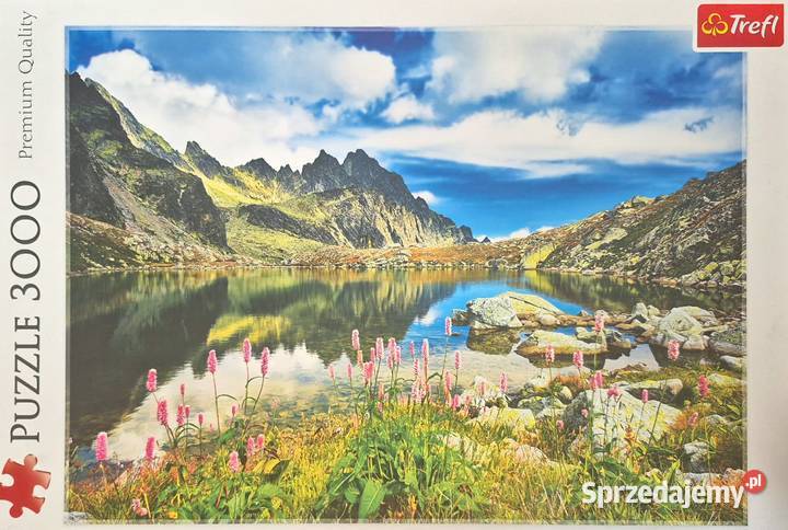 Puzzle Trefl 3000 Pozostałe Olsztyn