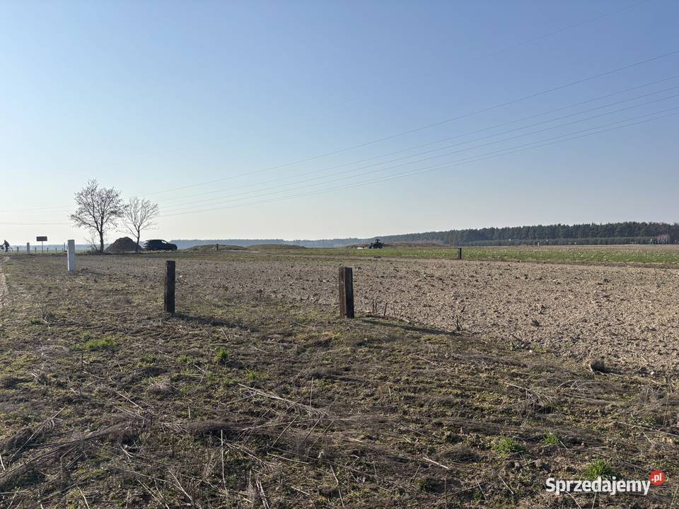 Niezwykła okazja działki w Święciechowie Święciechowa