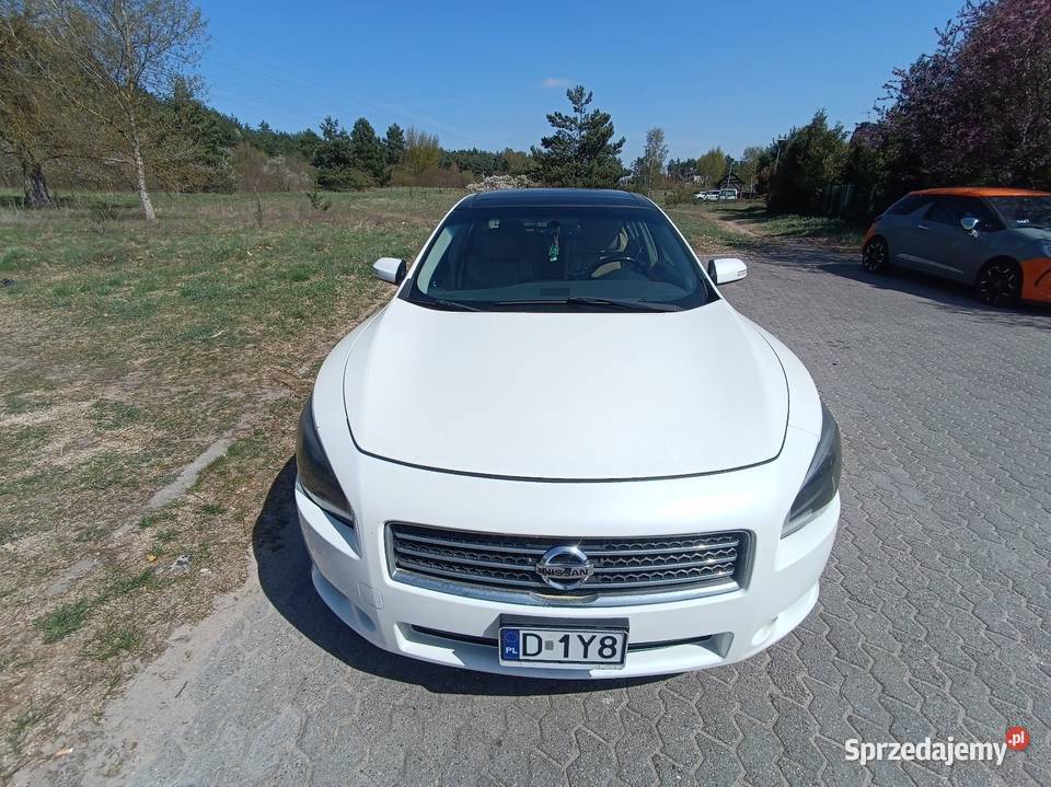 Nissan Maxima A35 wygodna limuzyna biała Sedan / Limuzyna Bydgoszcz