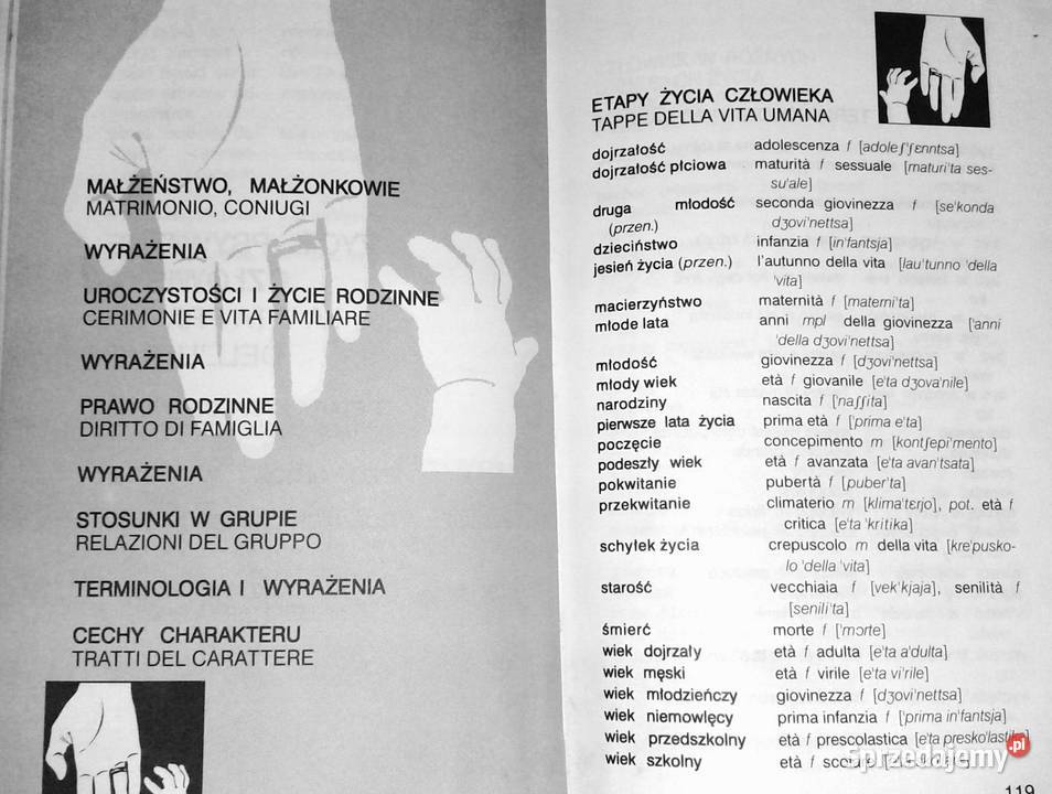 Polskowłoski słownik tematyczny Hanna Cieśla miękka Chełm sprzedam