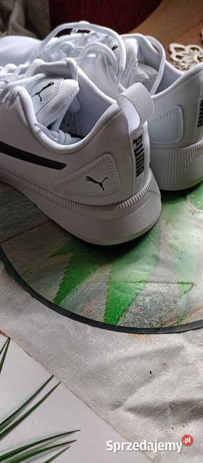 Sprzedam tanio okazja 43cm Radecznica sprzedam