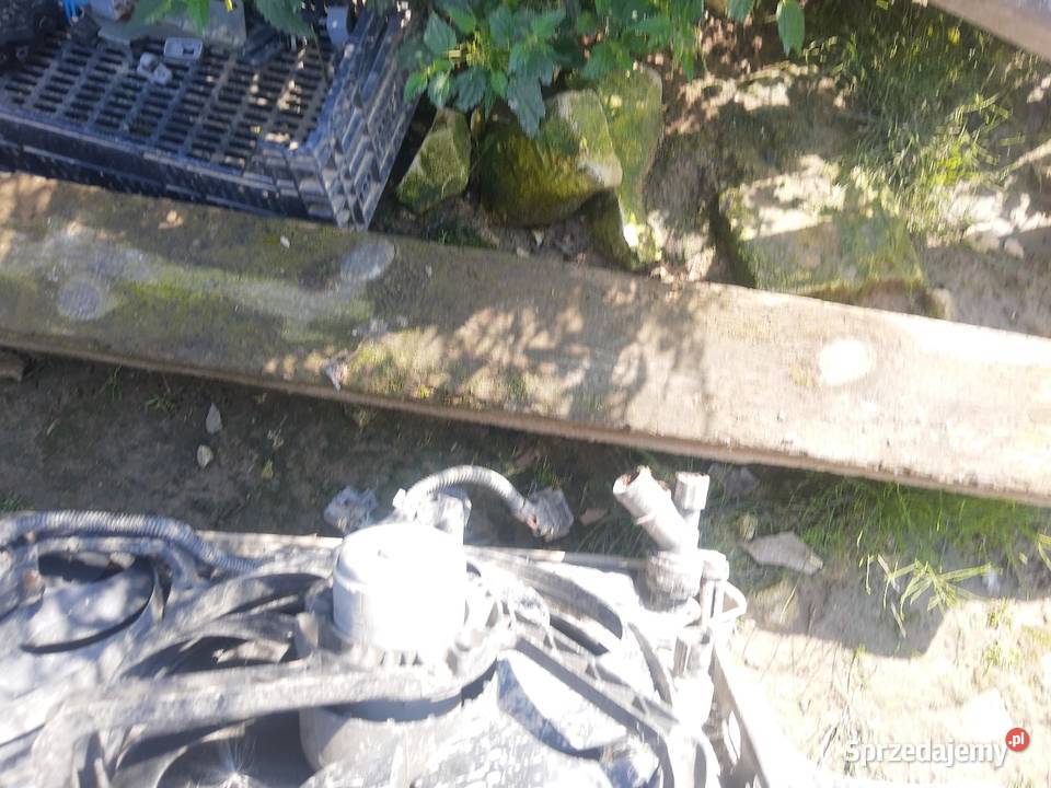 Pas przedni seat Leon 1 Łęczna