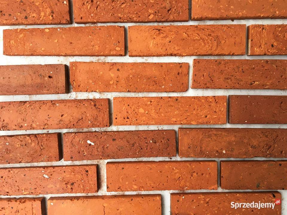 Płytki ze starej cegły Lica i Środki