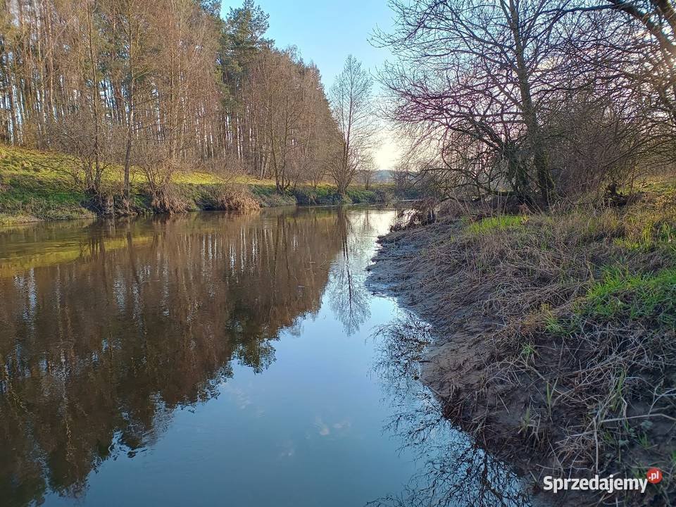 Dziewicza działka z linią brzegową rzeki Wkry 05 30m Szyjki