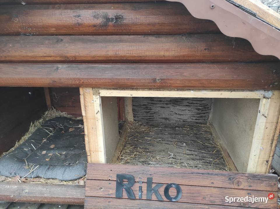 Sprzedam dużąocieploną budę psa Wodzisław Śląski