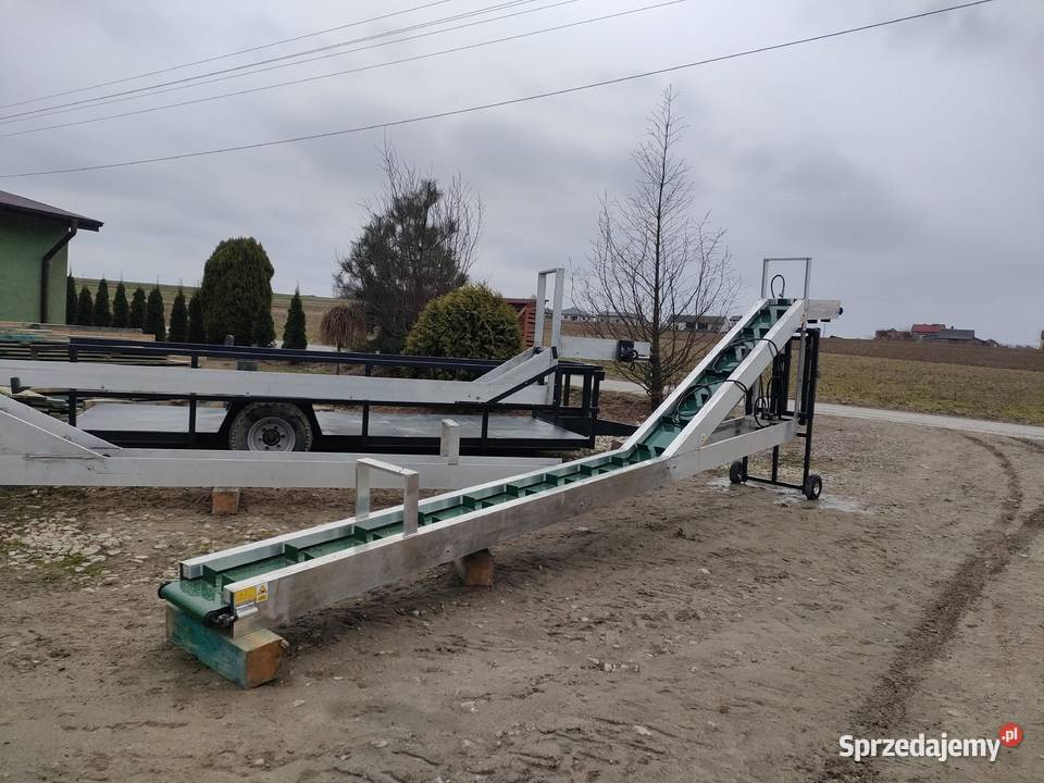 Taśmociąg Podajnik Transporter do zbioru warzyw nieuszkodzony Ewunin