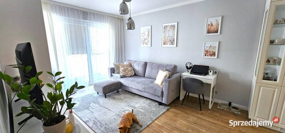 Mieszkanie Cedzyna 4094 metry 2 pokoje Sprzedaż świętokrzyskie