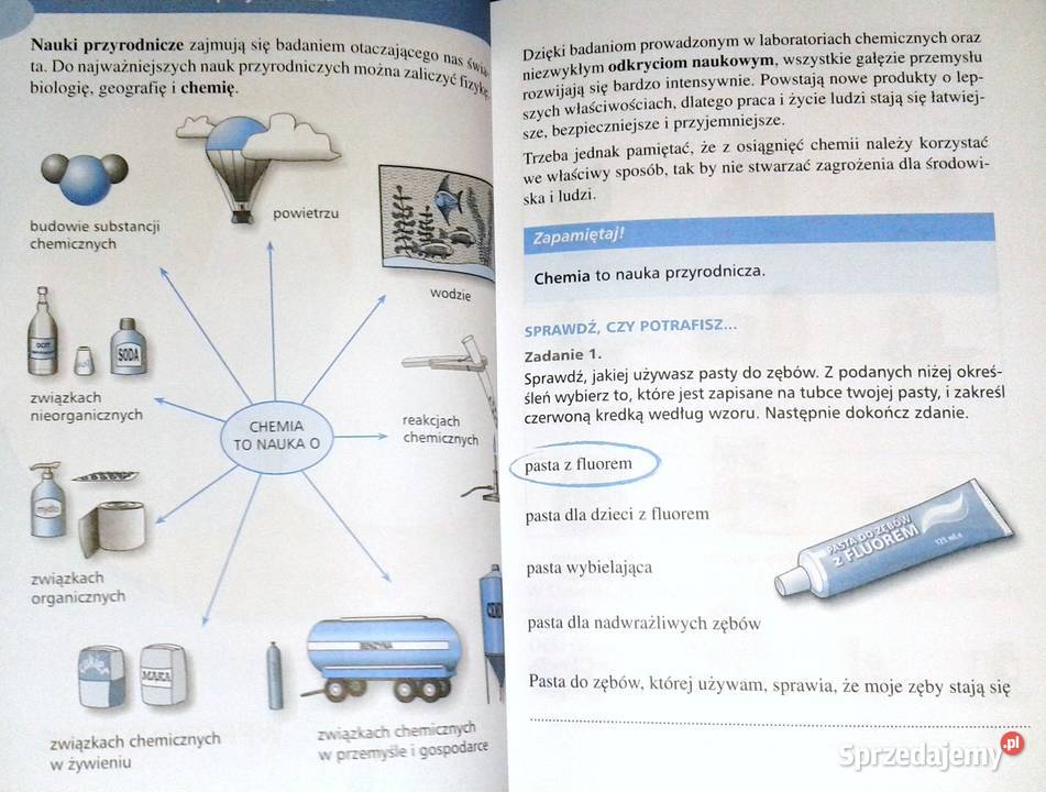 Chemia 1 Podręcznik gimnazjum Ewa Dobroszczyk