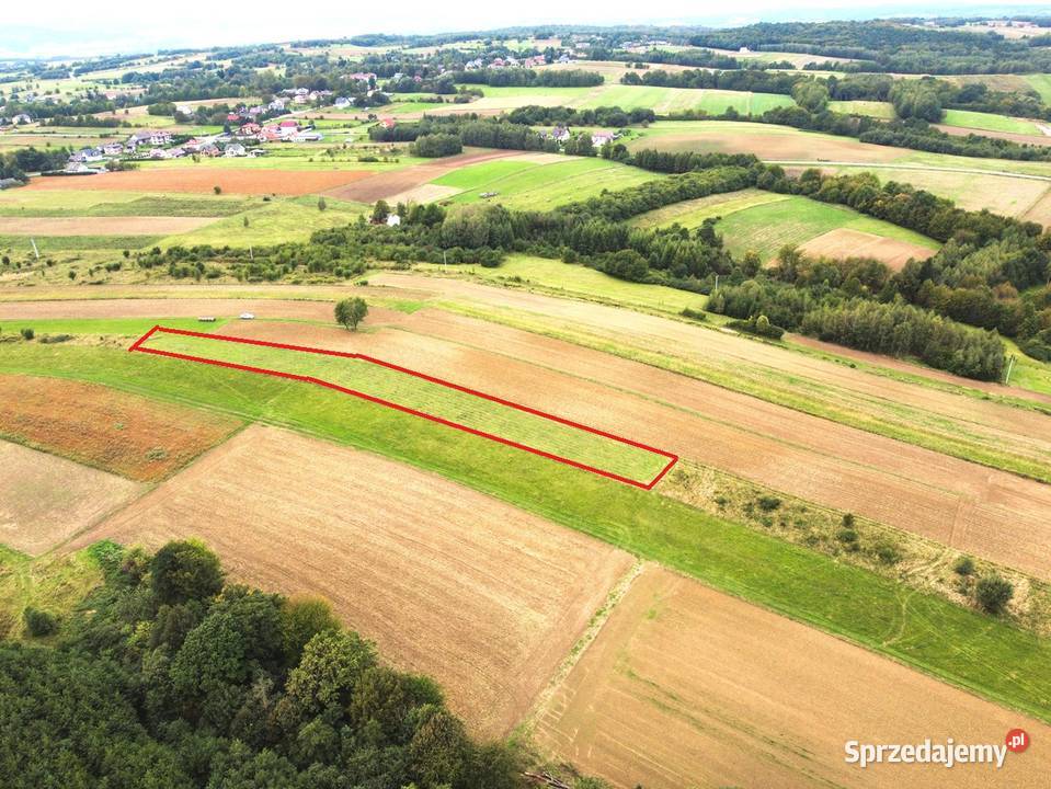 Działka rolna Łajsce