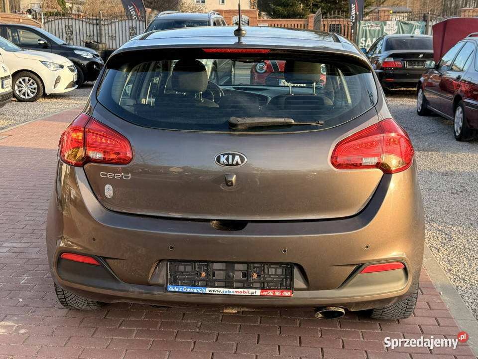 Kia Ceed Gwarancja Automat Super Wypas Xenon Sade Budy