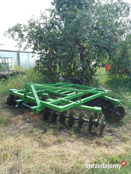 Talerzówka Augustów