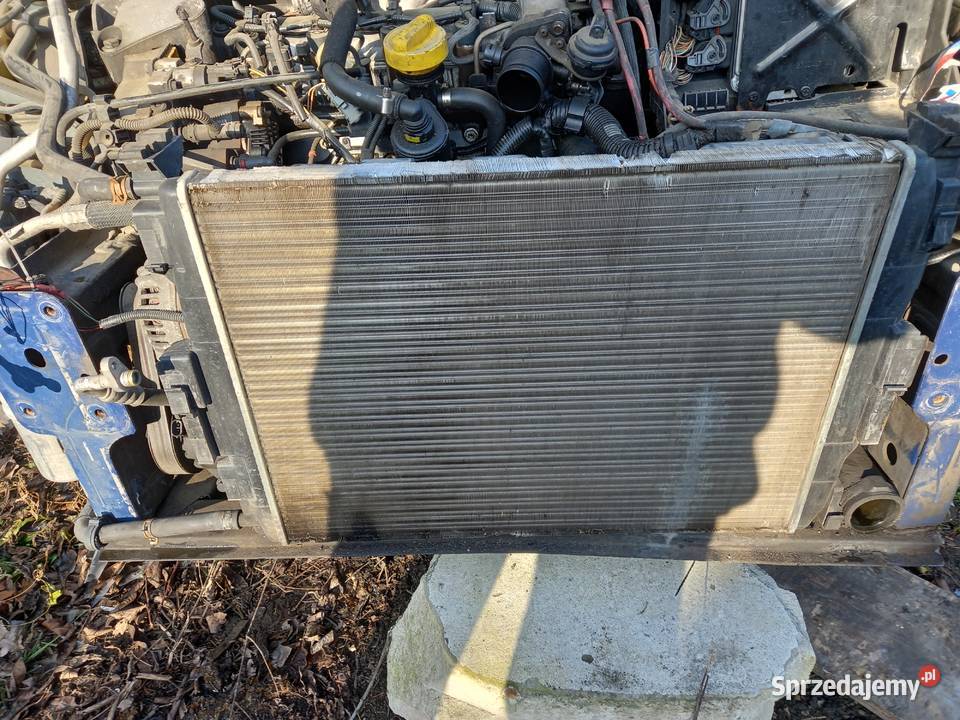 Renault megane Grand Scenic 19 dczesci czesci