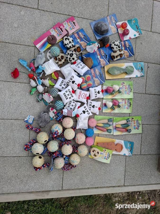 Zabawki kota psa królika Pozostałe Kajetany