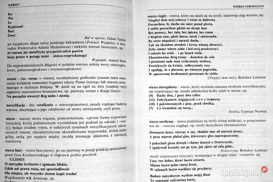 Słownik pisarzy lektur i terminów literackich Chełm