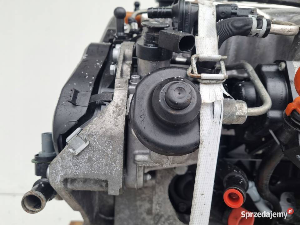 SILNIK BEZ OSPRZĘTU Audi A3 II 8P 20 TDI 140 osobowe lubelskie Janów