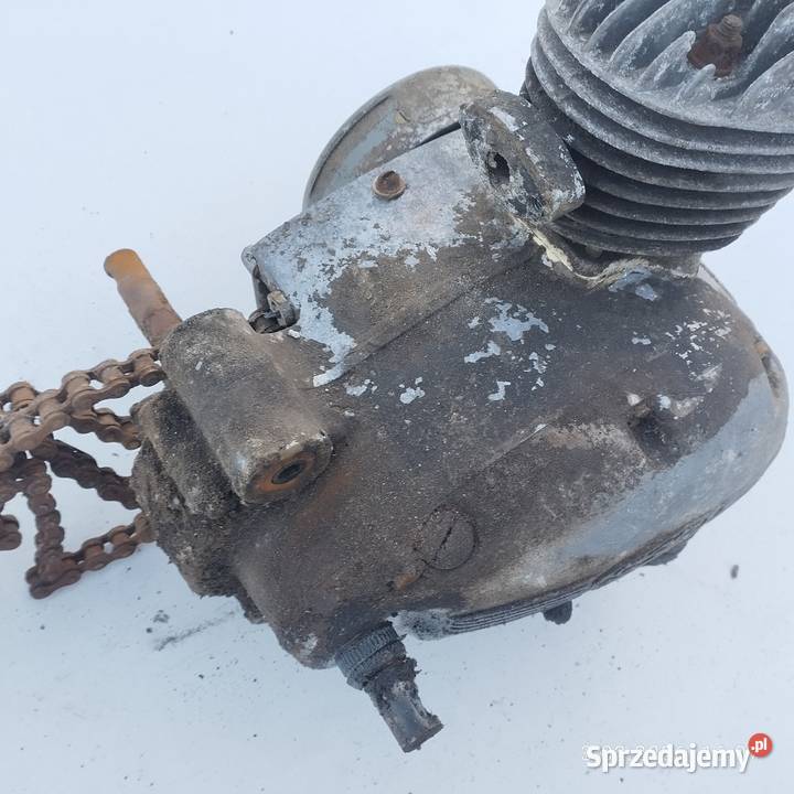 Silnik Komar Sztywniak małopolskie Tarnów