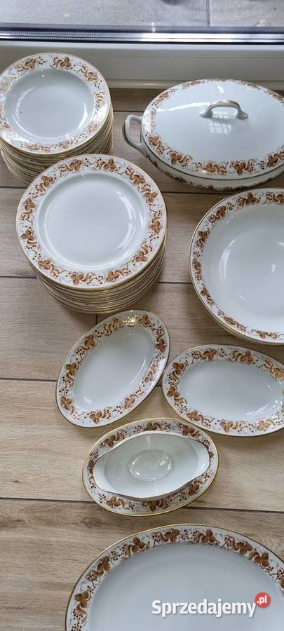Serwis Obiadowy Porcelana Francuska Wola Podłężna sprzedam