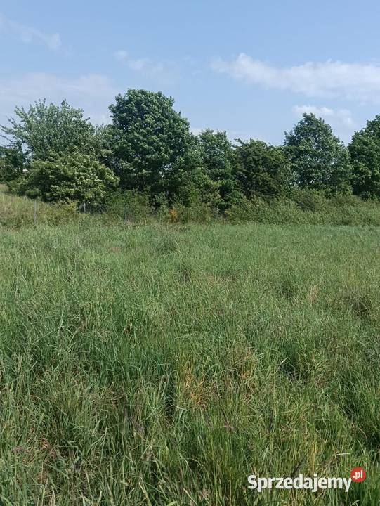 Działka budowlana 69arów Bierkowo Słupsk