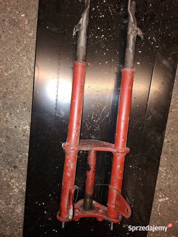 Ogar 200205 Oborniki Śląskie