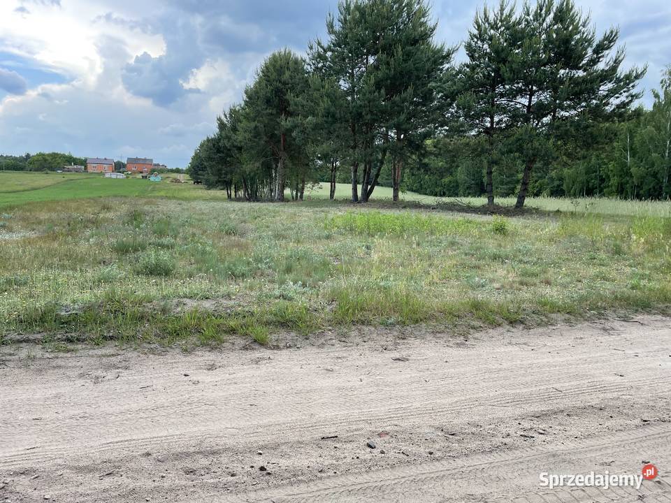 Działka z możliwością budowy domu 30 arów Nieruchomości Osiny sprzedam