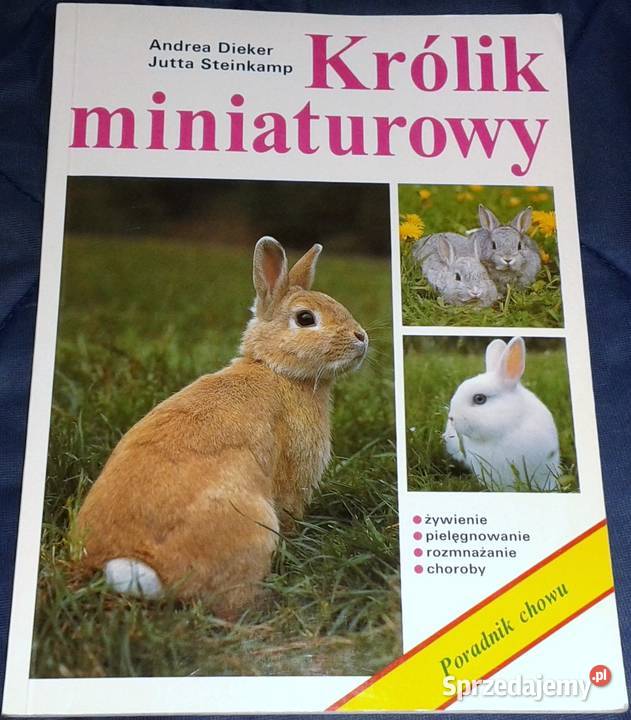Królik miniaturowy Andrea Dieker Jutta Steinkamp Pozostałe