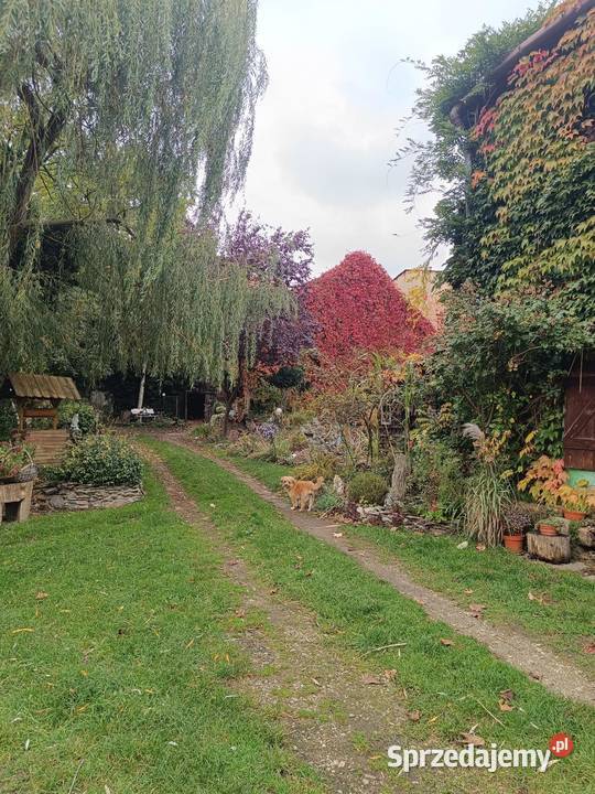 Sprzedam dom dolnośląskie Jarosław