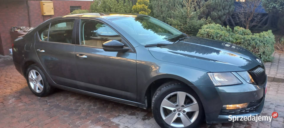 koda Octavia DSG 373netto FV23 15 TSI 150 Pełen elektrochrom. lusterko wst.
