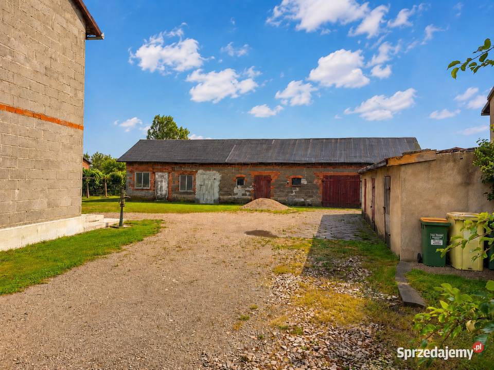 Działka MRj 11469 ha zabudowana rolna dom 226m2 betonowe Sprzedaż Skierniewice