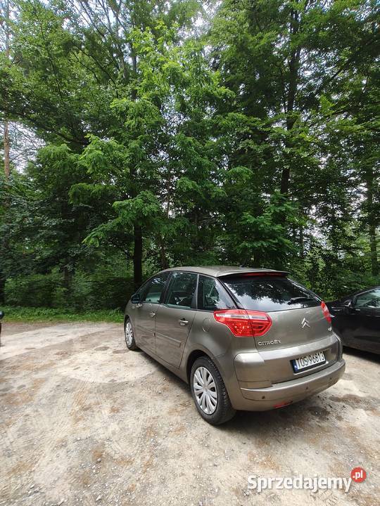 Citroen C4 Picasso Waśniów