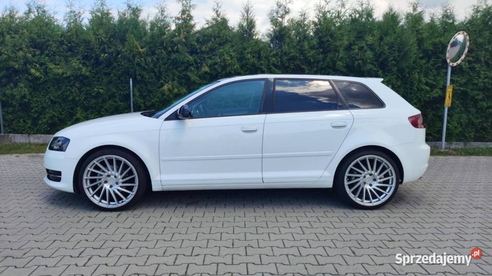 Audi A3 8P 20TDI 140 ASR (kontrola trakcji) A3 podkarpackie Rzeszów