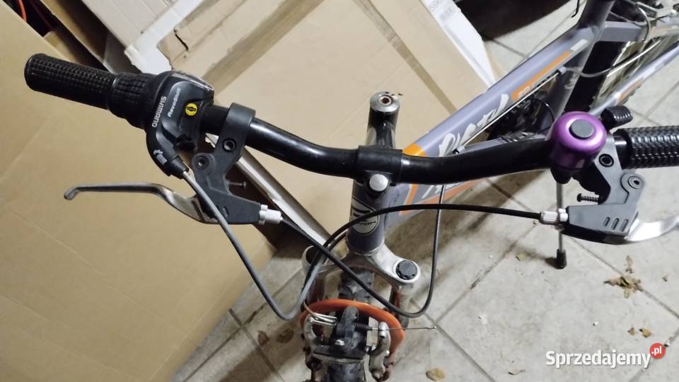 rower dziecięcy 20 20" wielkopolskie