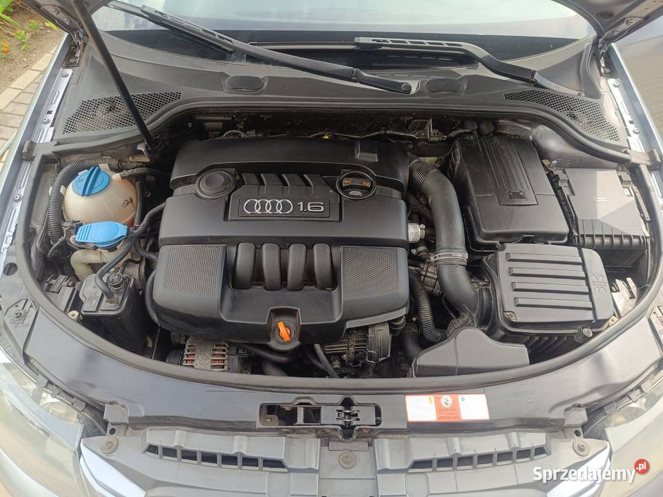 Sprzedam Audi a3 8p 2006r 16 benzyna gaz nieuszkodzony Chwałkowo Kościelne