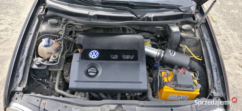 Volkswagen Golf 4 Konin