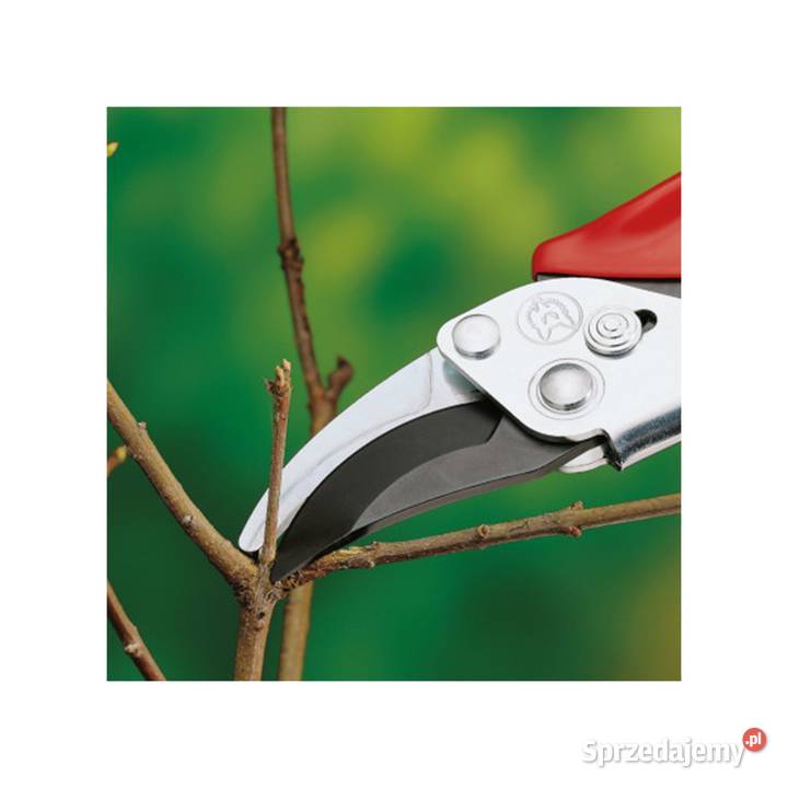 Sekator dwuostrzowy RREN Wolf Garten Tajęcina sprzedam