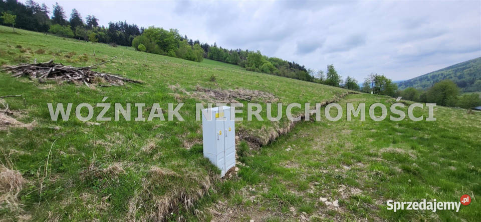 Grunt 879m2 Rzeczka dolnośląskie