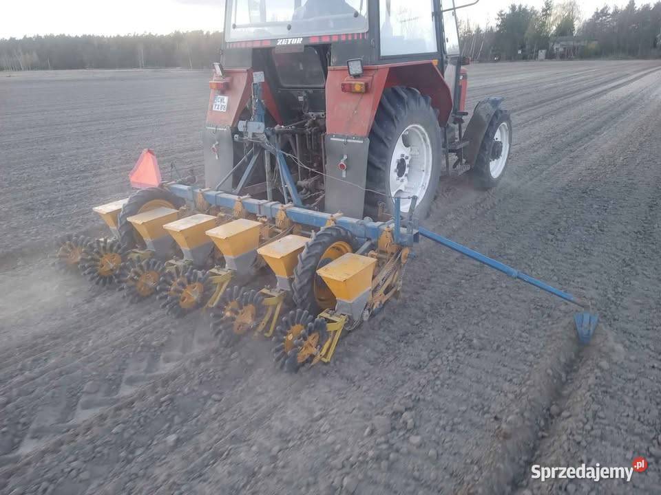 siewnik do buraków Klein 6 Kłóbka