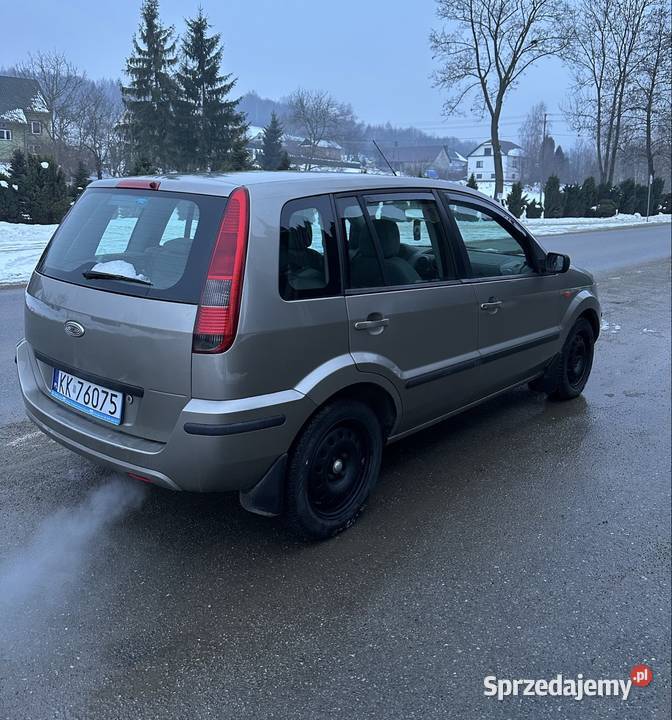 Ford Fusion 14 gaz 2004r Hatchback sprzedam