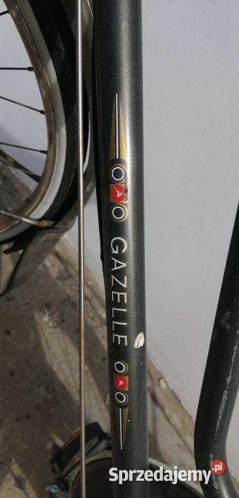 Gazelle wygodna damka Toruń
