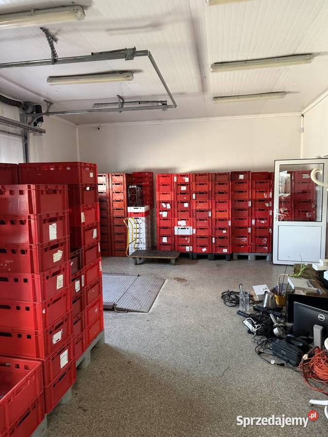 Syndyk sprzeda wyposażenie magazynowe Łomża