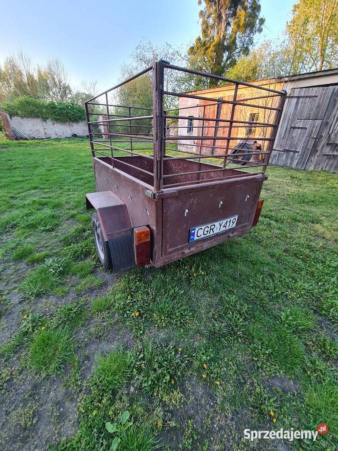 Sprzedam przyczepkę towarowe Grudziądz