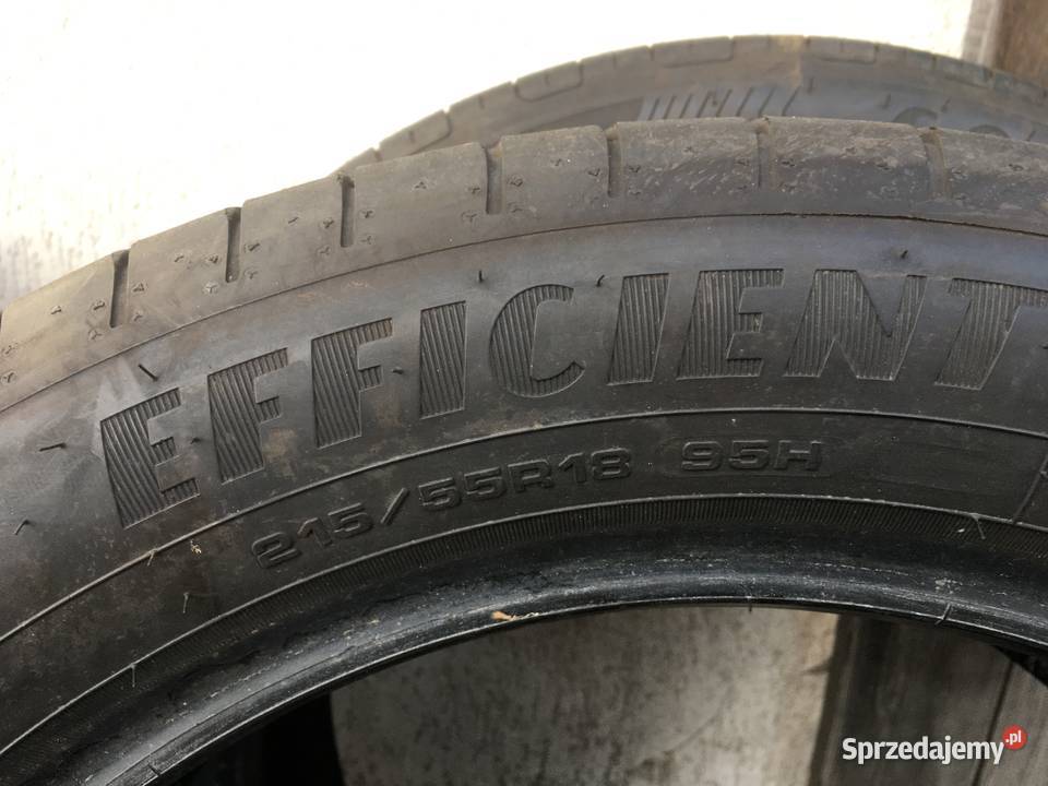 Opony letnie Goodyear Efficientgrip 21555 R18 Pokój
