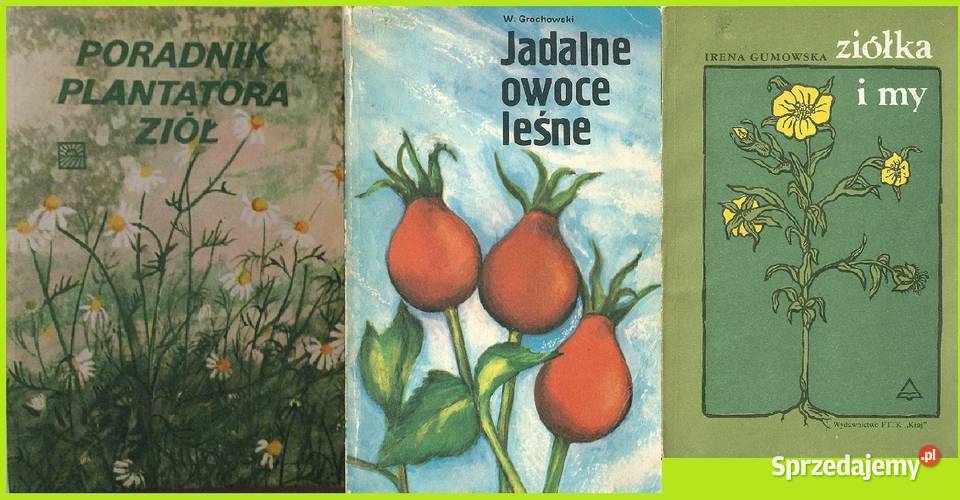 Poradnik plantatora ziółJadalne owoce leśne zdrowie, pierwsza pomoc Poradniki, albumy i reportaże sprzedam