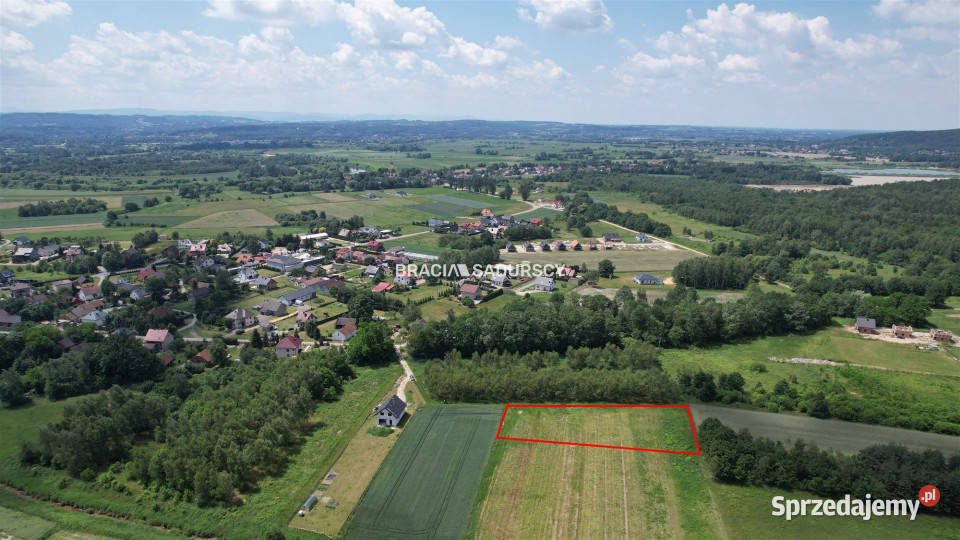 Działka Przeginia Narodowa 3263m2 Sprzedaż