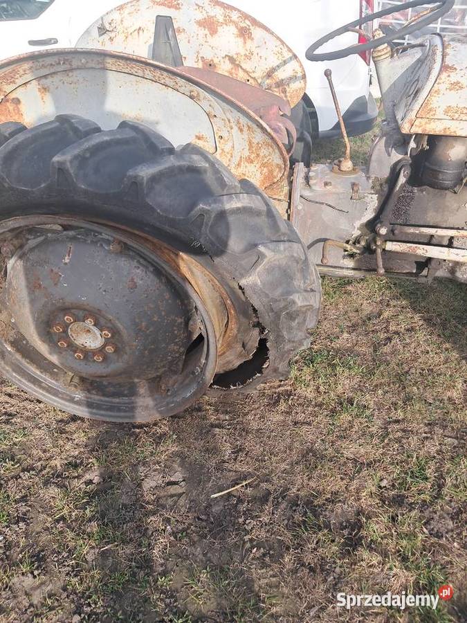 2 Ferguson TEA Gniewkowo sprzedam