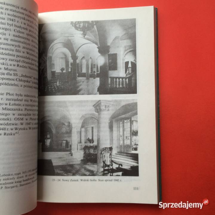 2196 Płoty zachodniopomorskie Szczecin